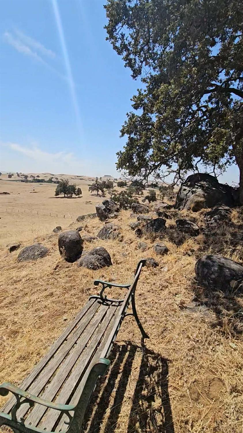 167 ac Highway 41, Madera, CA 93636