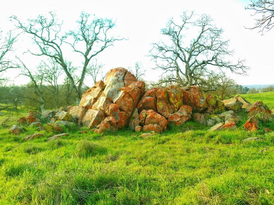 167 ac Highway 41, Madera, CA 93636