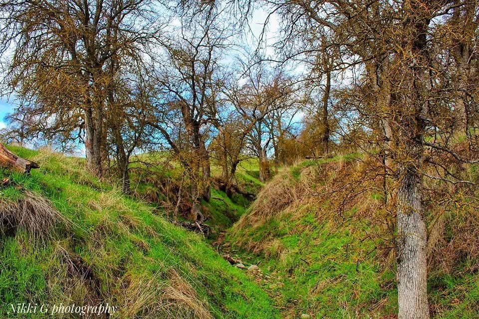 167 ac Highway 41, Madera, CA 93636