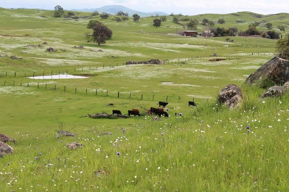 167 ac Highway 41, Madera, CA 93636