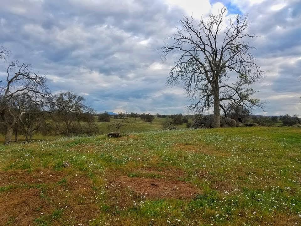 167 ac Highway 41, Madera, CA 93636