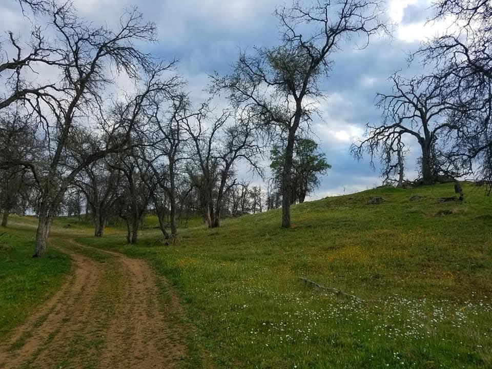 167 ac Highway 41, Madera, CA 93636