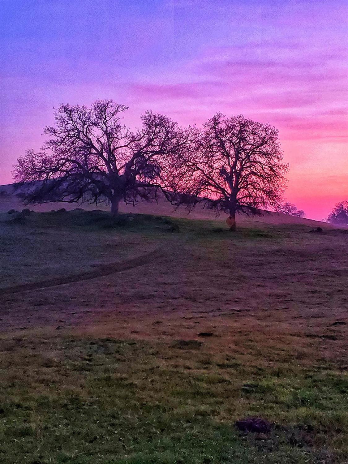 167 ac Highway 41, Madera, CA 93636