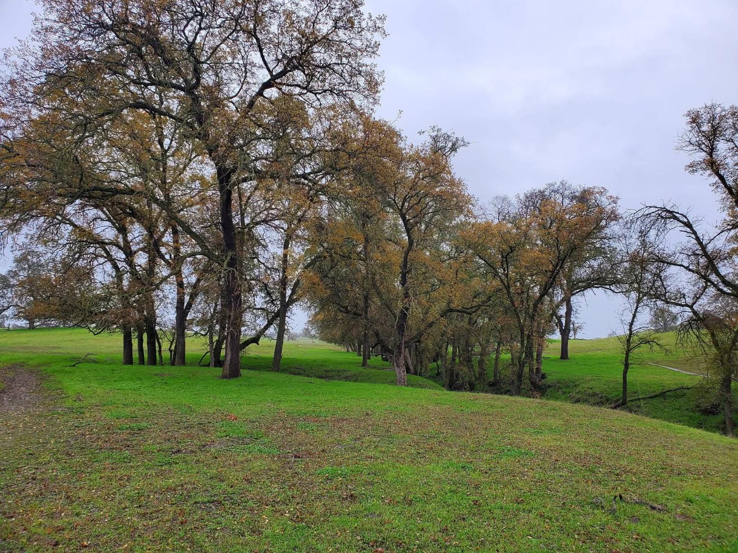 167 ac Highway 41, Madera, CA 93636