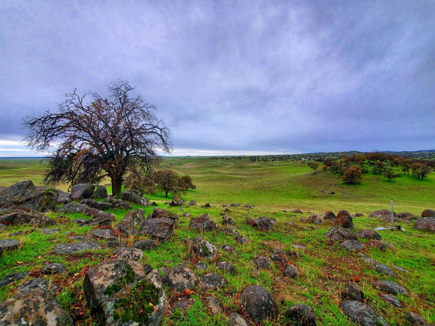 167 ac Highway 41, Madera, CA 93636