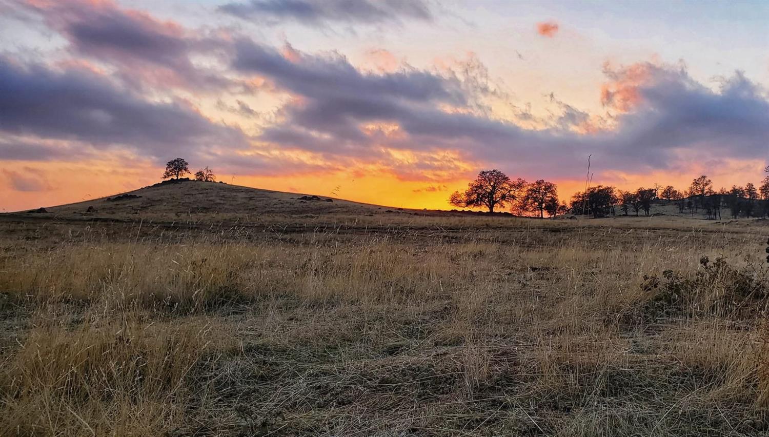 167 ac Highway 41, Madera, CA 93636