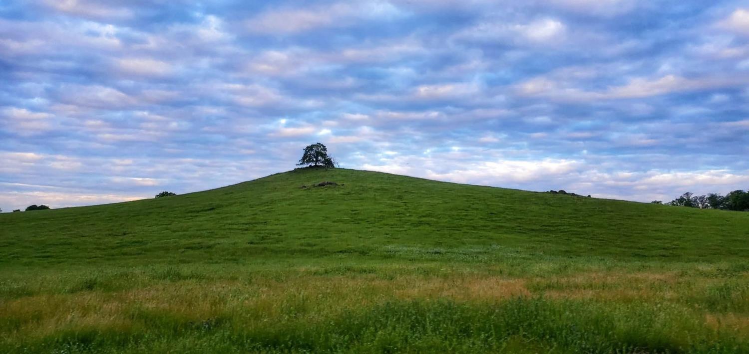 167 ac Highway 41, Madera, CA 93636