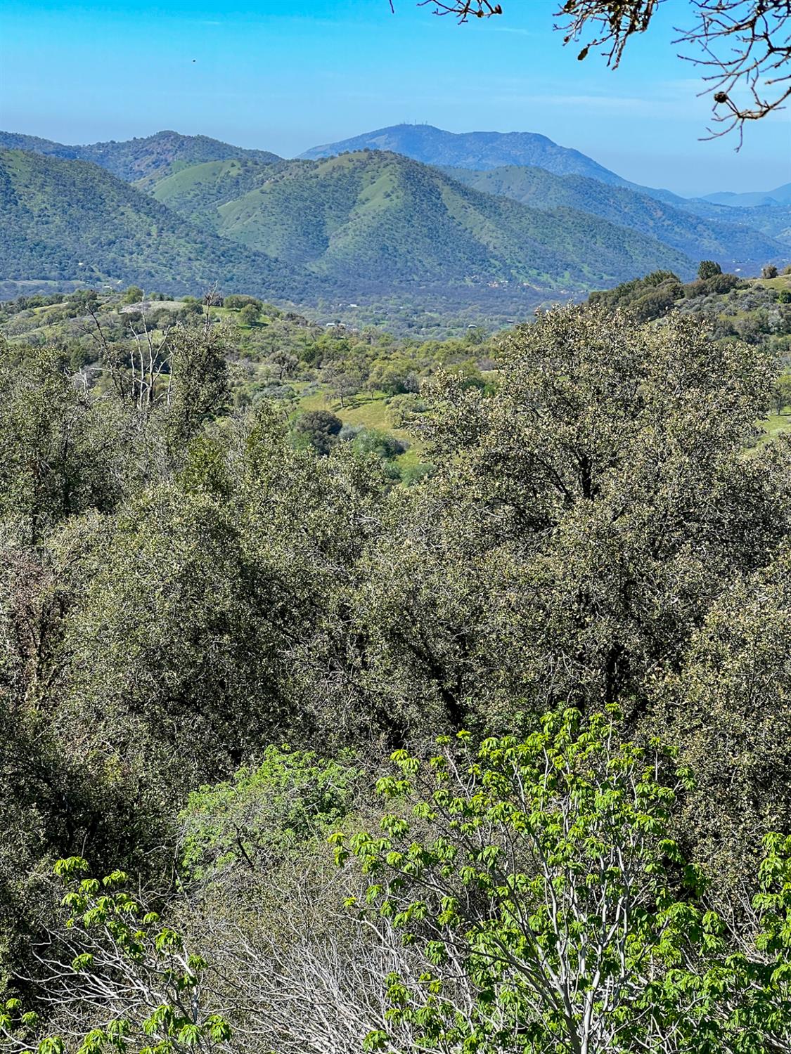 44981 Todd Eymann Rd, Miramonte, CA 93641