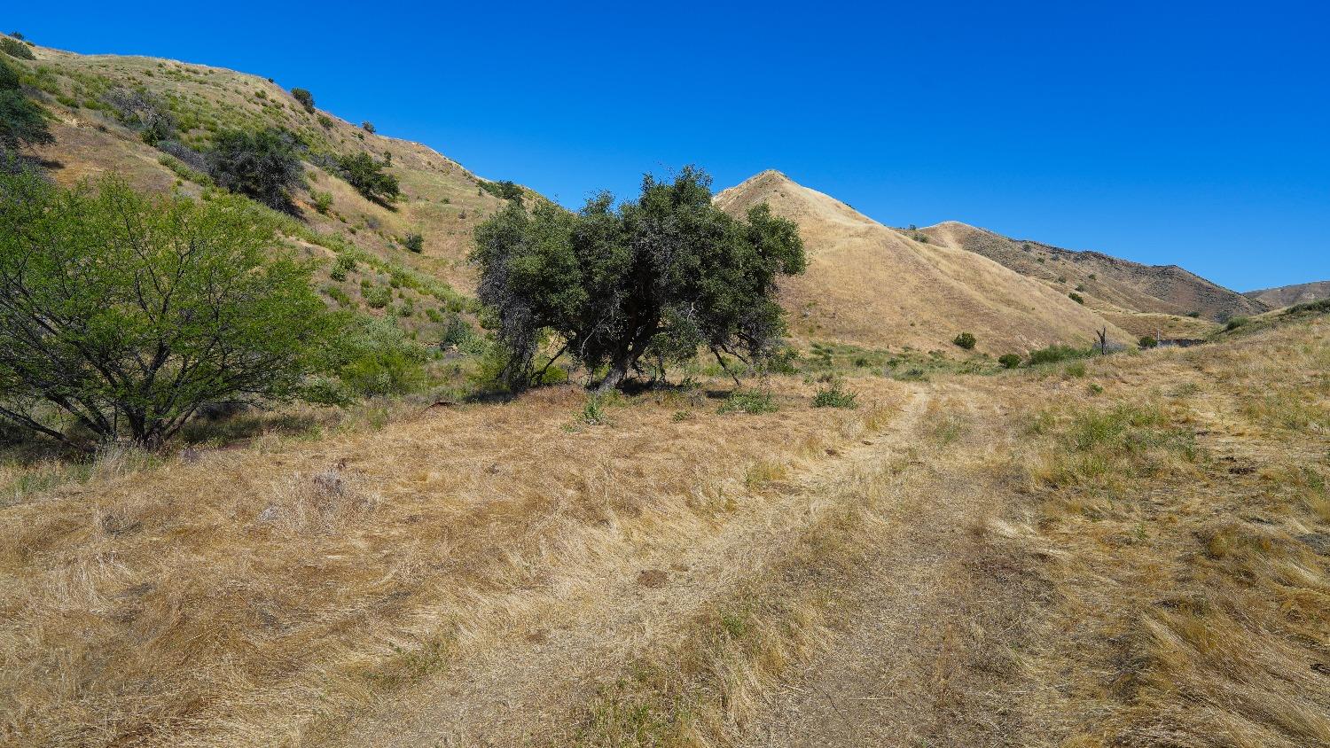 0 0 Hwy 198, Coalinga, CA 93210