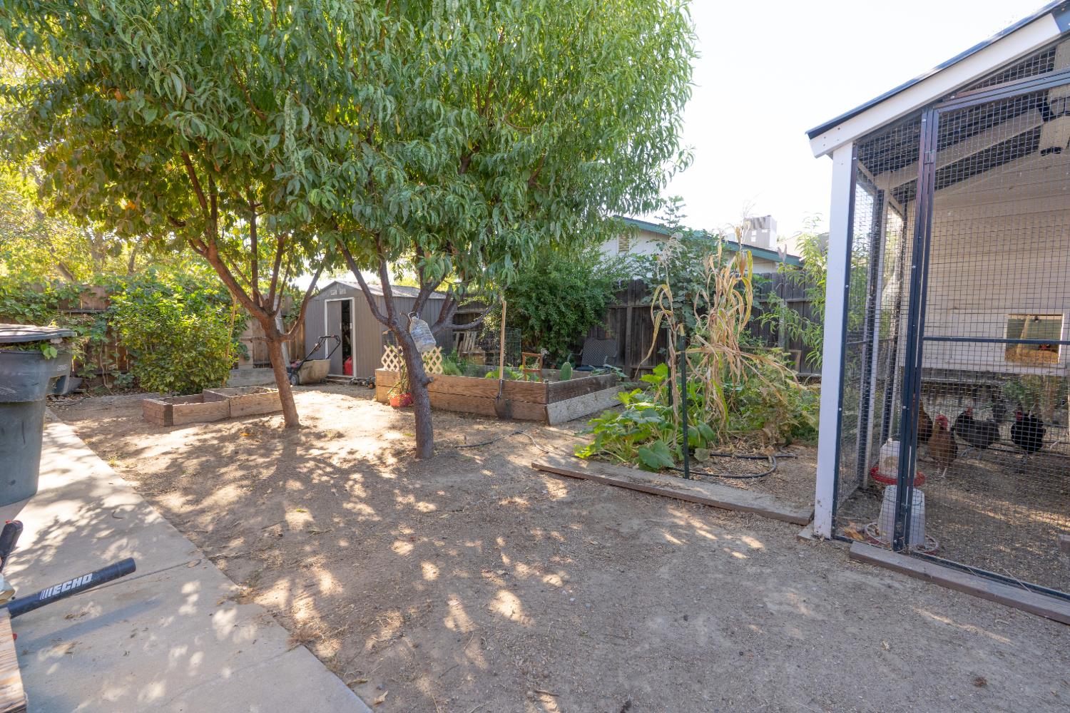 420 S Princeton, Coalinga, CA 93210