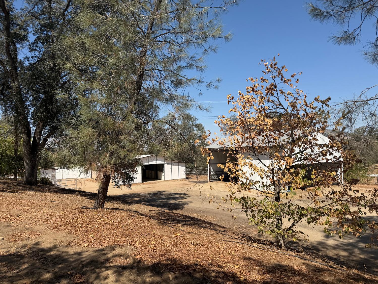 20100 Tollhouse (Loper Valley Rd) Rd, Clovis, CA 93619