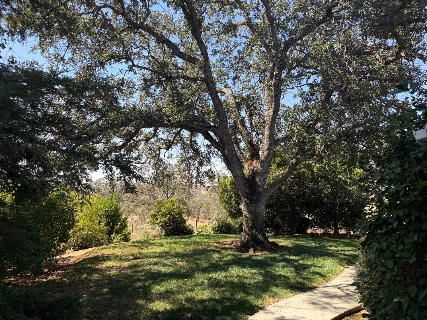 20100 Tollhouse (Loper Valley Rd) Rd, Clovis, CA 93619