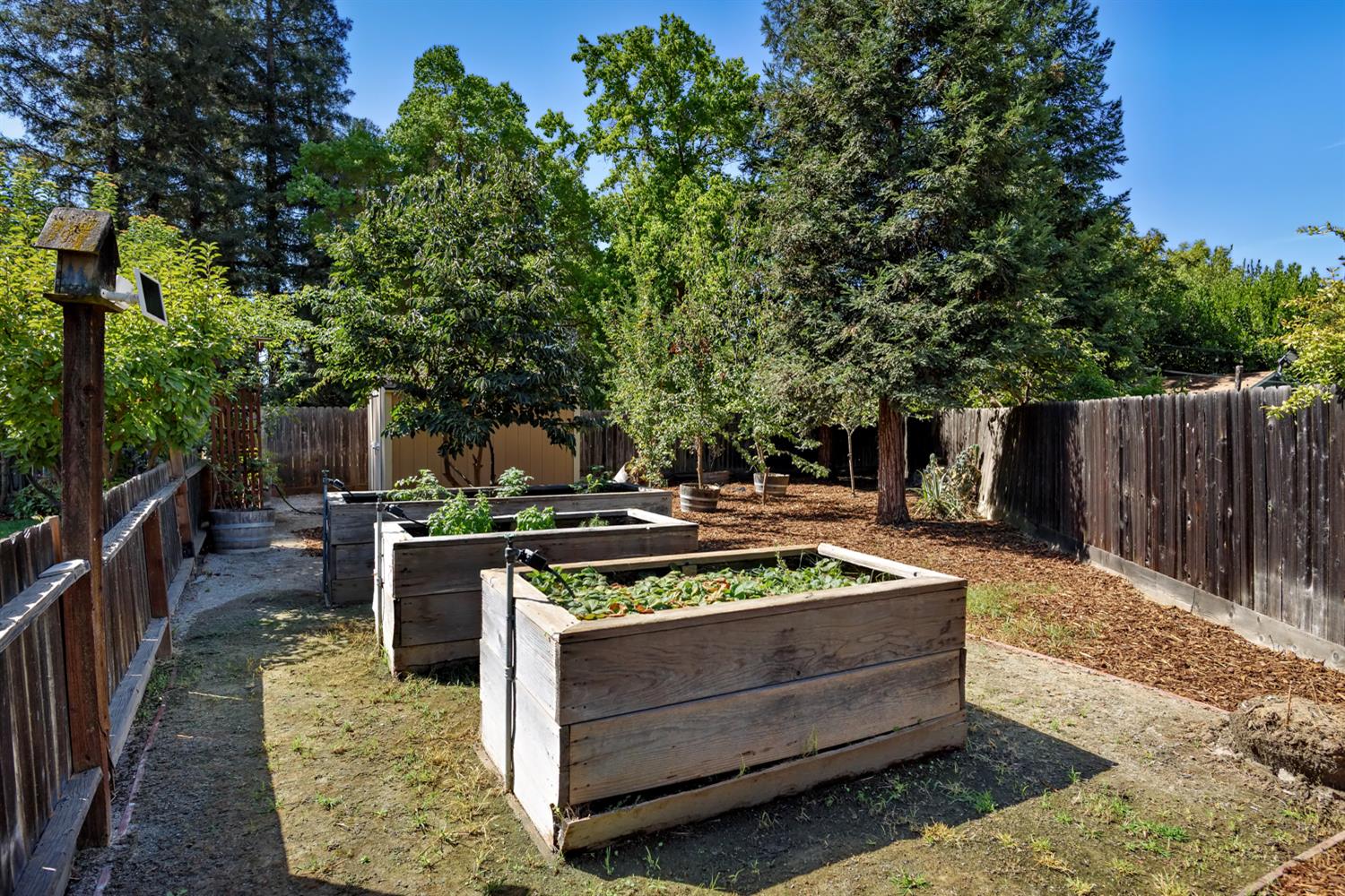 3012 Everglade Ave, Clovis, CA 93619