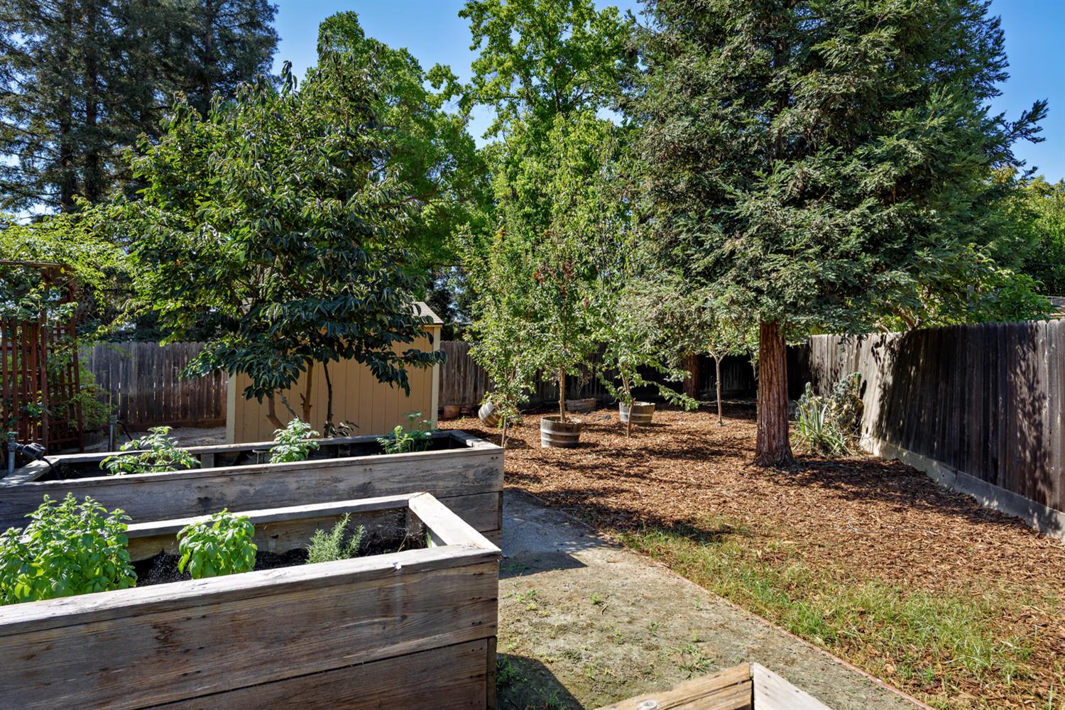 3012 Everglade Ave, Clovis, CA 93619