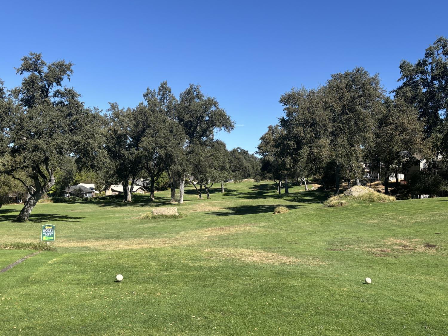 46268 River View Dr, Oakhurst, CA 93644