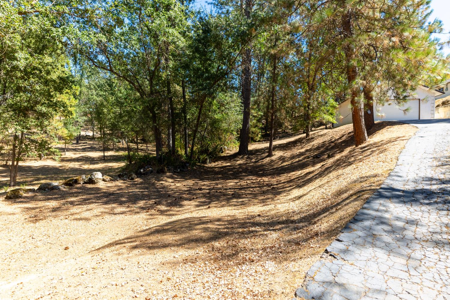 46268 River View Dr, Oakhurst, CA 93644