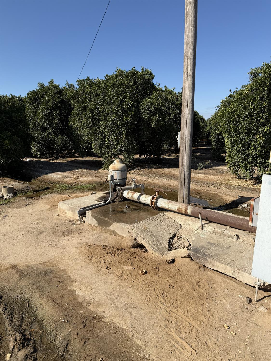 13331 E Belmont Ave, Sanger, CA 93657
