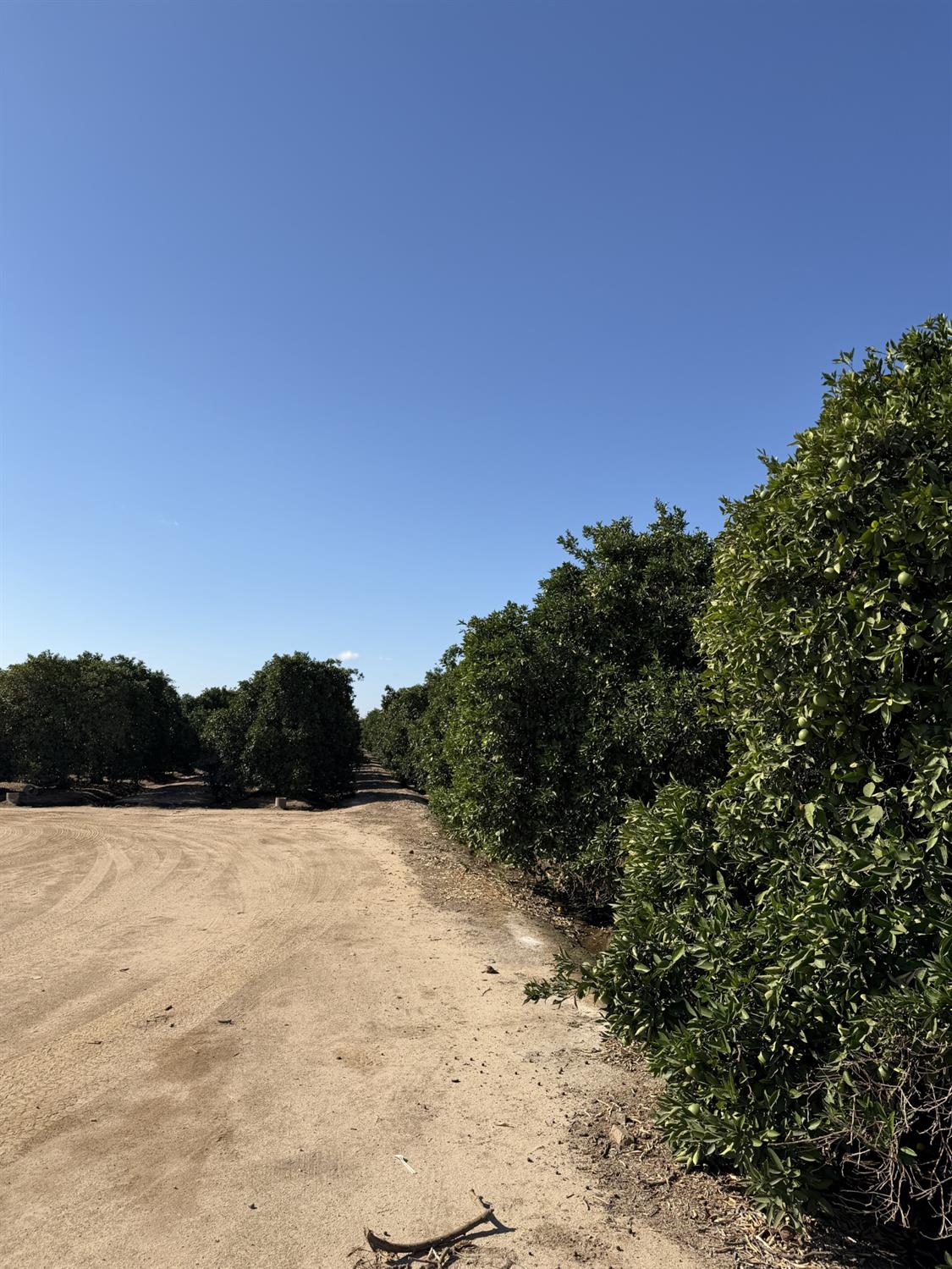 13331 E Belmont Ave, Sanger, CA 93657