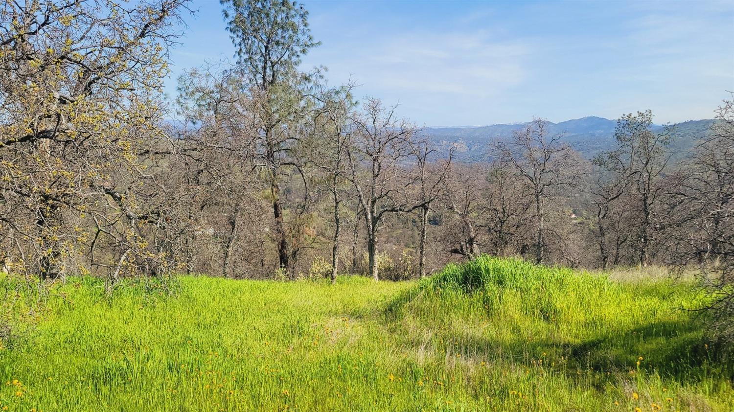 222 Big River Way, Coarsegold, CA 93614