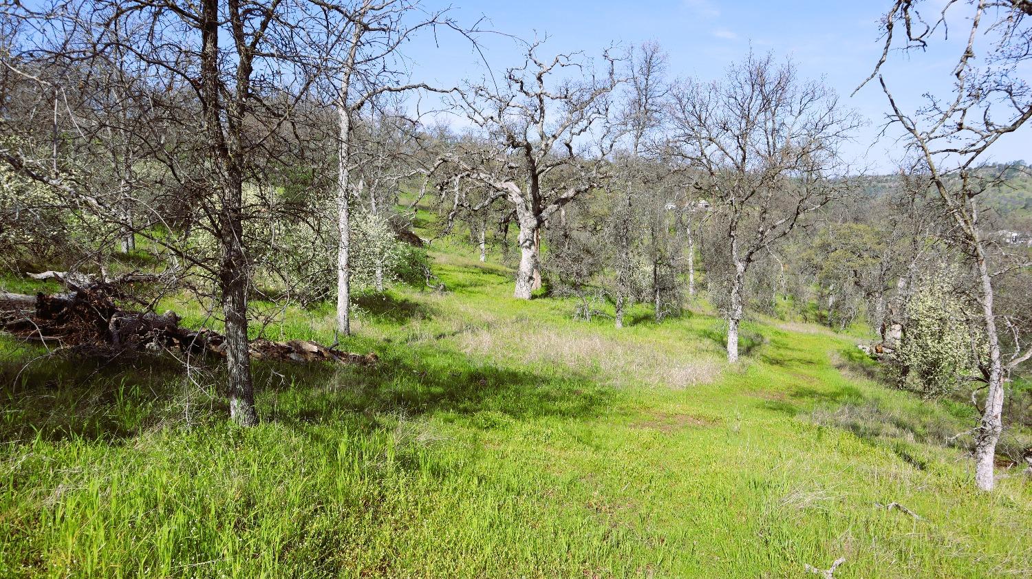 222 Big River Way, Coarsegold, CA 93614