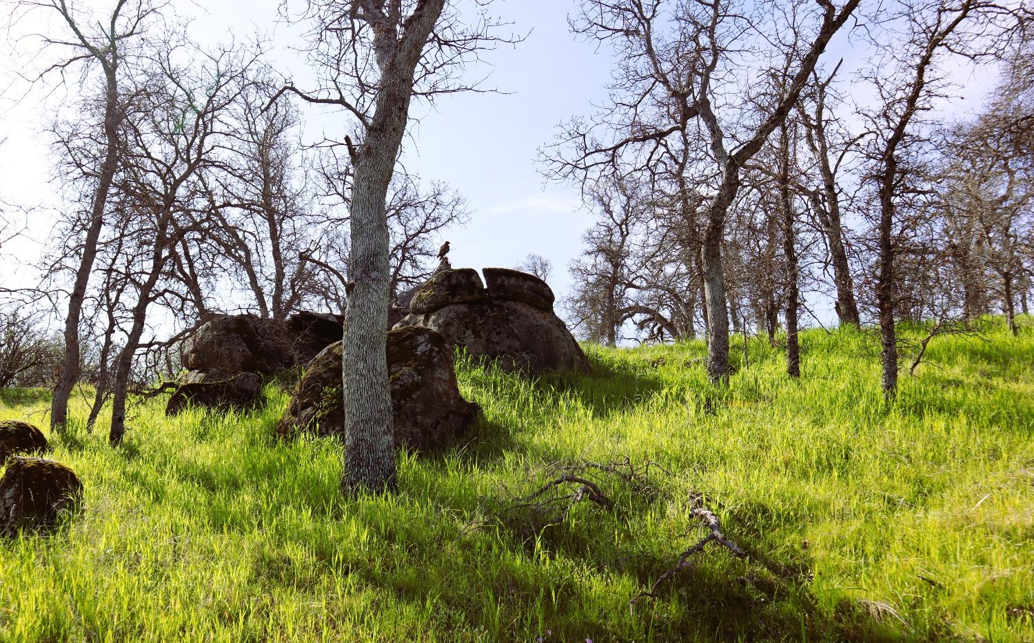 222 Big River Way, Coarsegold, CA 93614