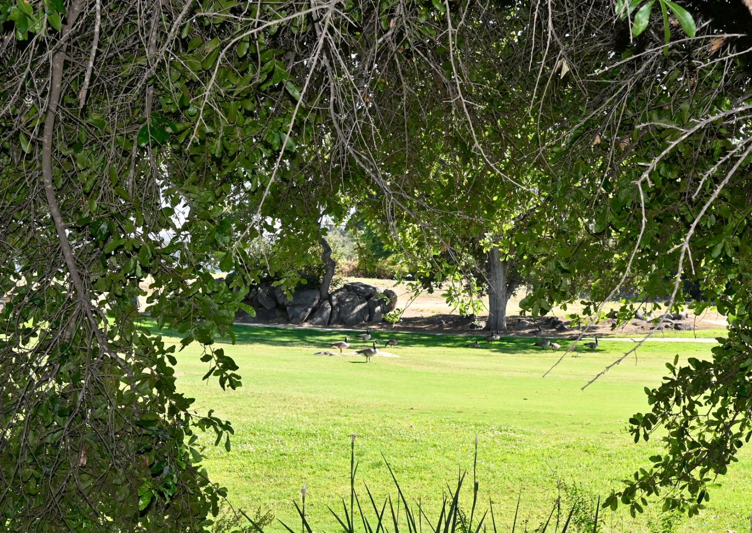21678 Eastmere Ln, Friant, CA 93626