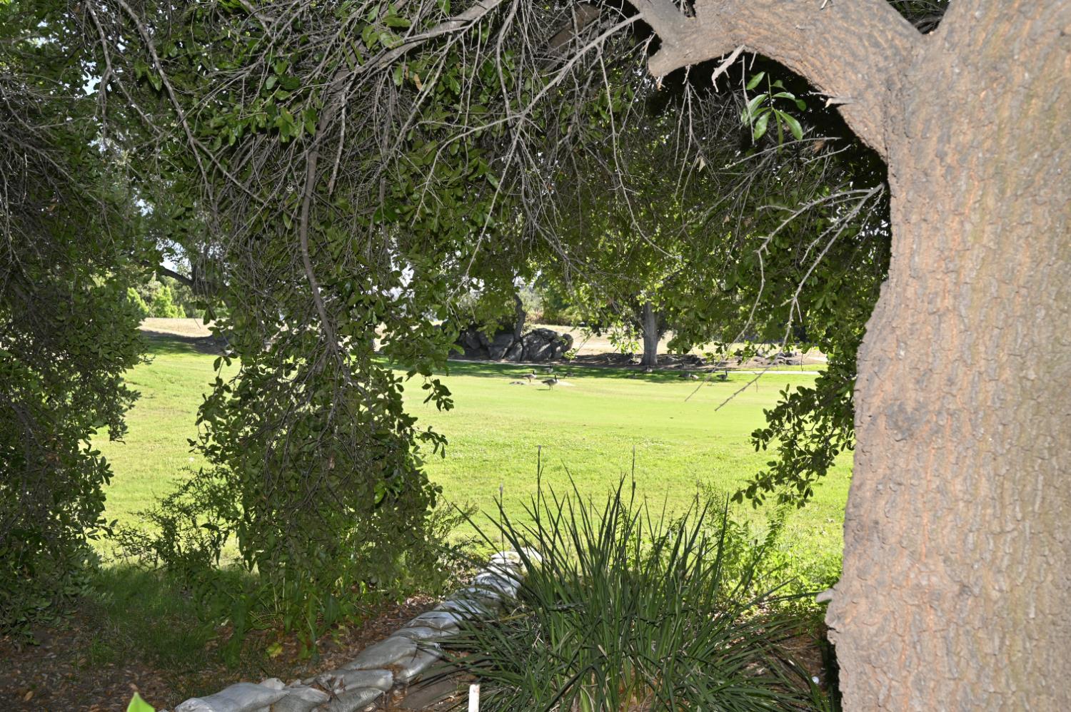 21678 Eastmere Ln, Friant, CA 93626