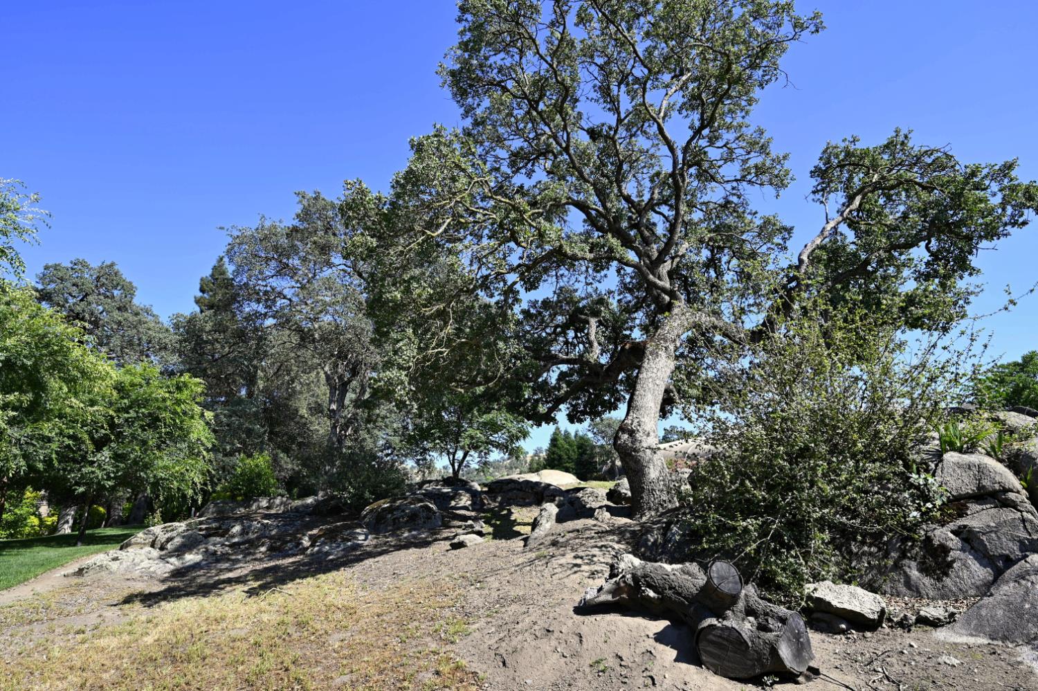 21678 Eastmere Ln, Friant, CA 93626
