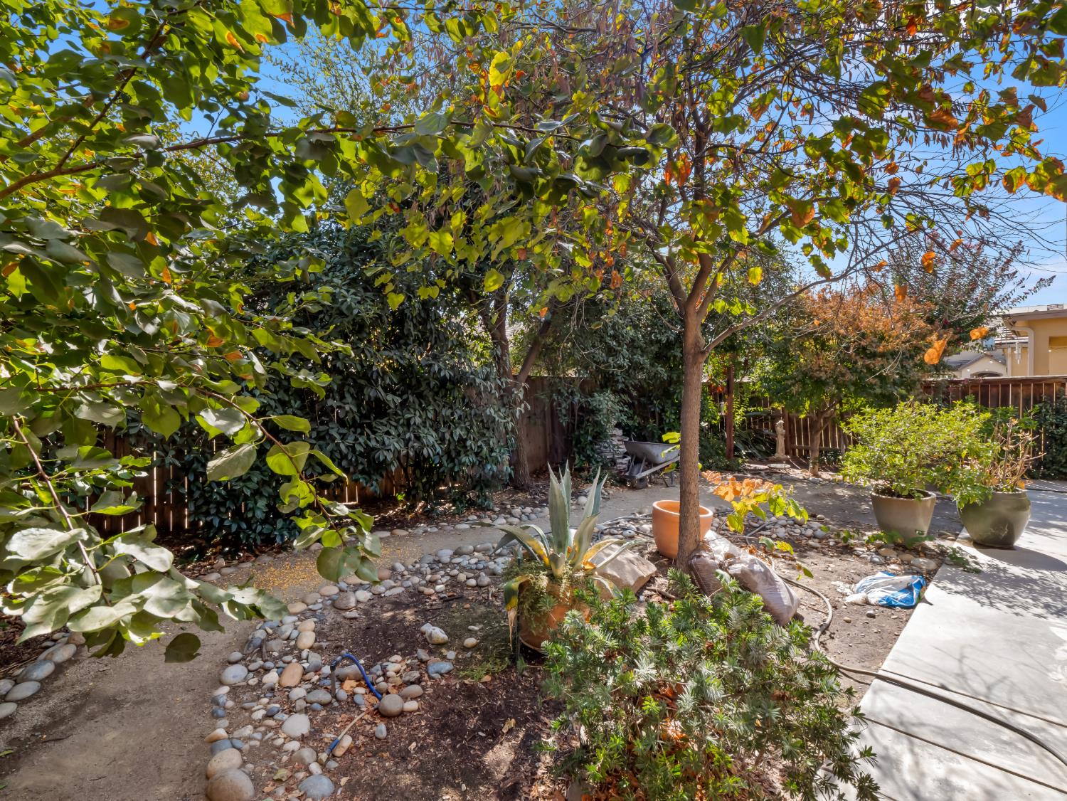 3022 Celeste Ave, Clovis, CA 93619