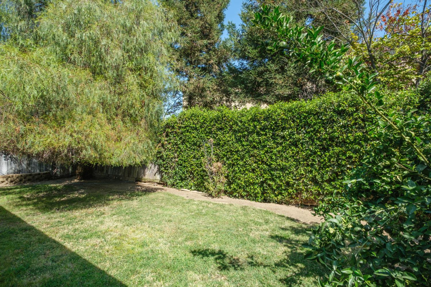 3237 Renn, Clovis, CA 93611