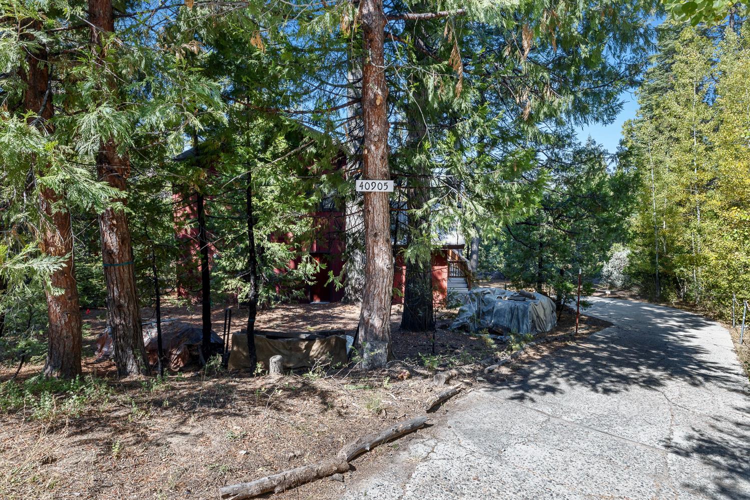 40905 Woodridge Rd, Shaver Lake, CA 93664