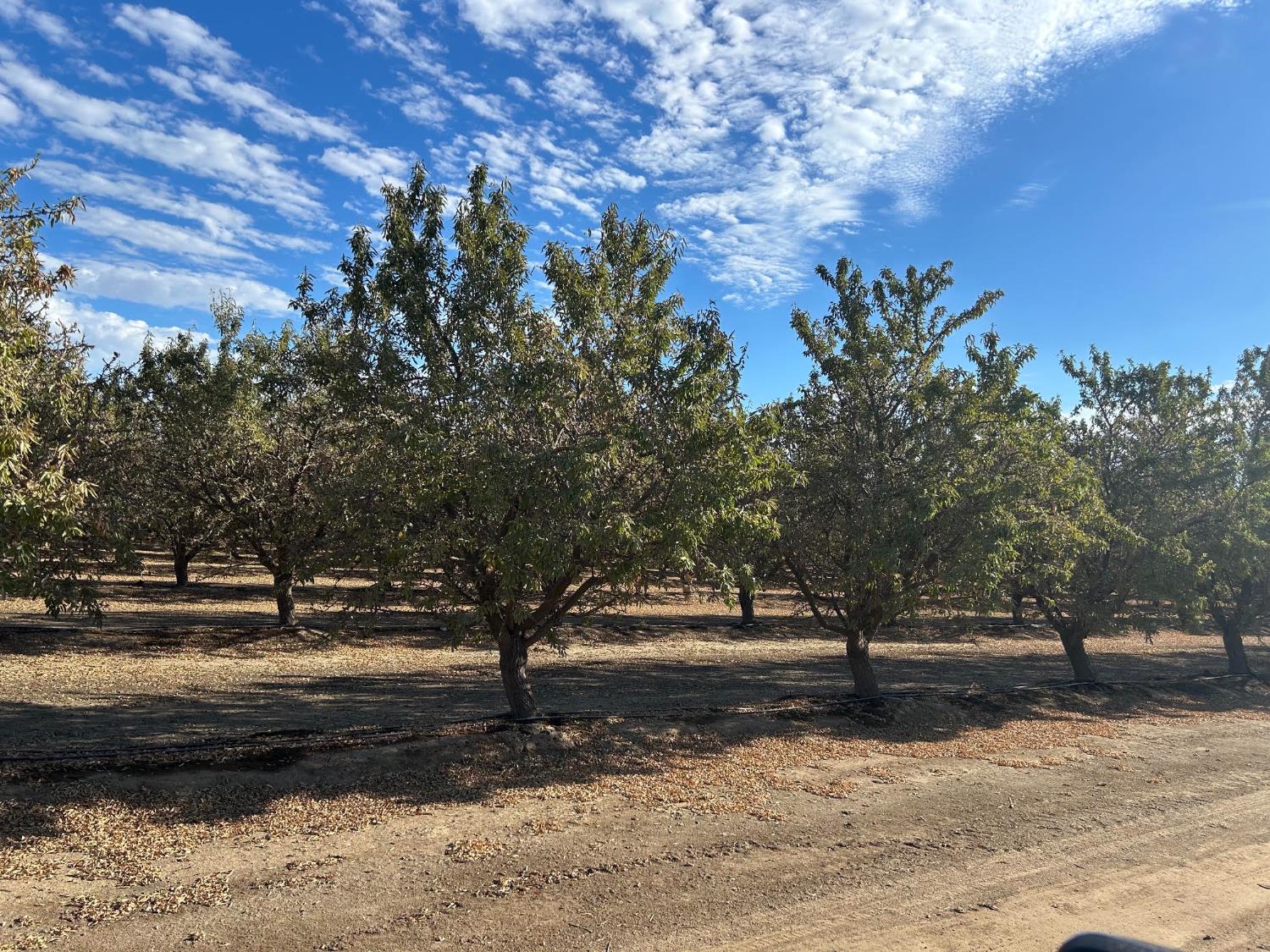 29112 Avenue 7, Madera, CA 93637