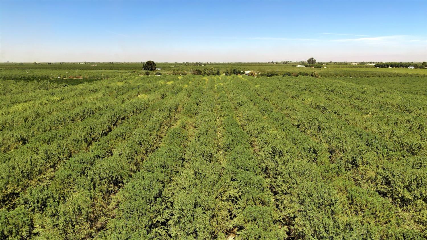 16381 W Belmont Ave, Kerman, CA 93630