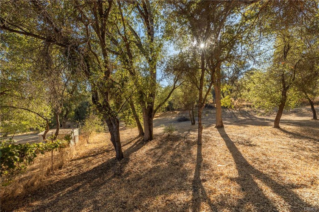 58208 Road 601, Ahwahnee, CA 93601