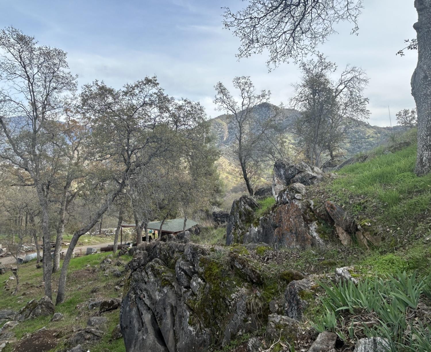 40838 Oak Ridge Dr, Three Rivers, CA 93271