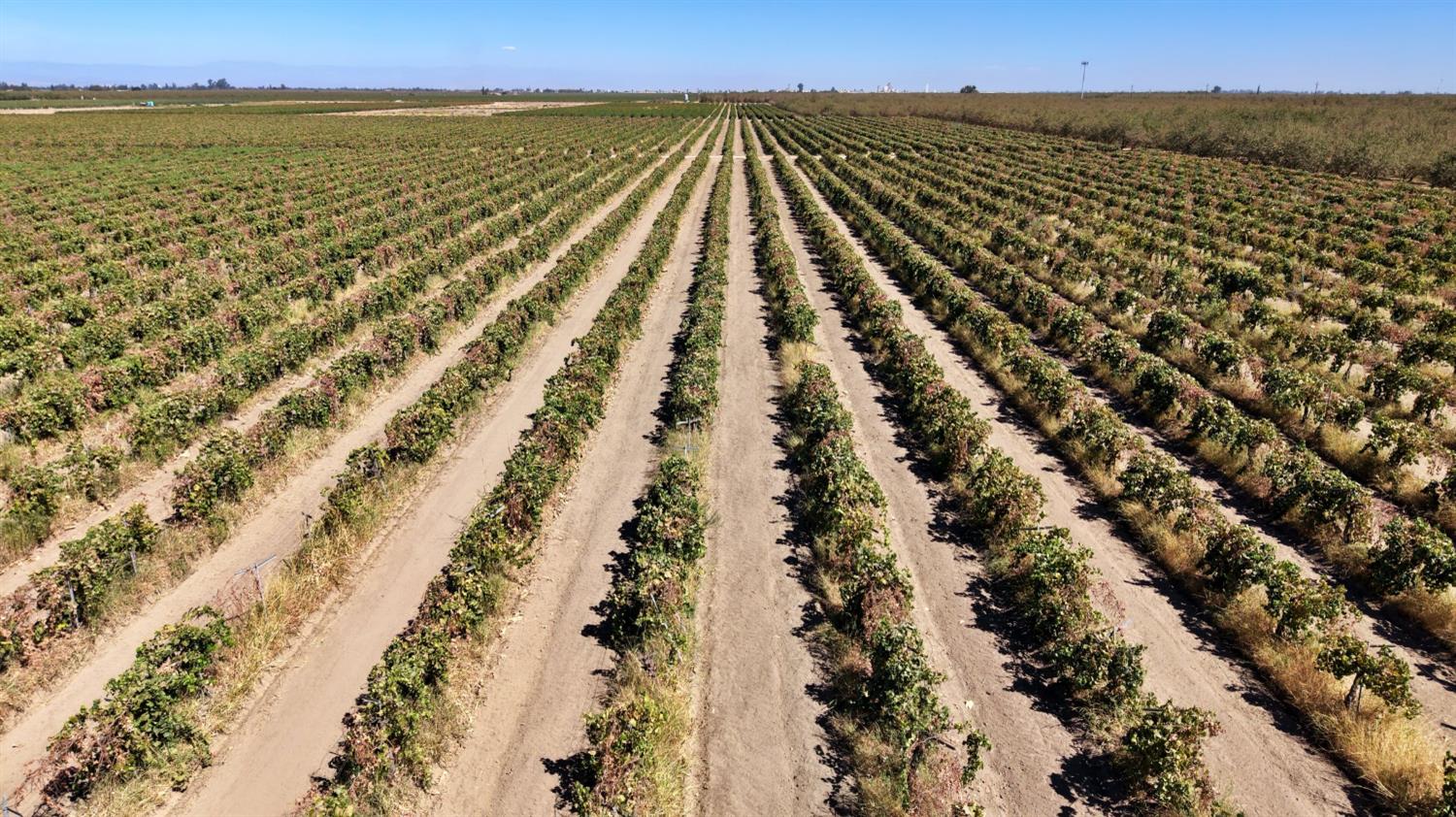 0 0 Avenue 13, Madera, CA 93637
