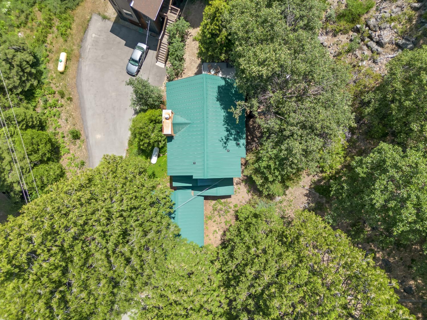 1153 Silver Tip Ln, Fish Camp, CA 93623
