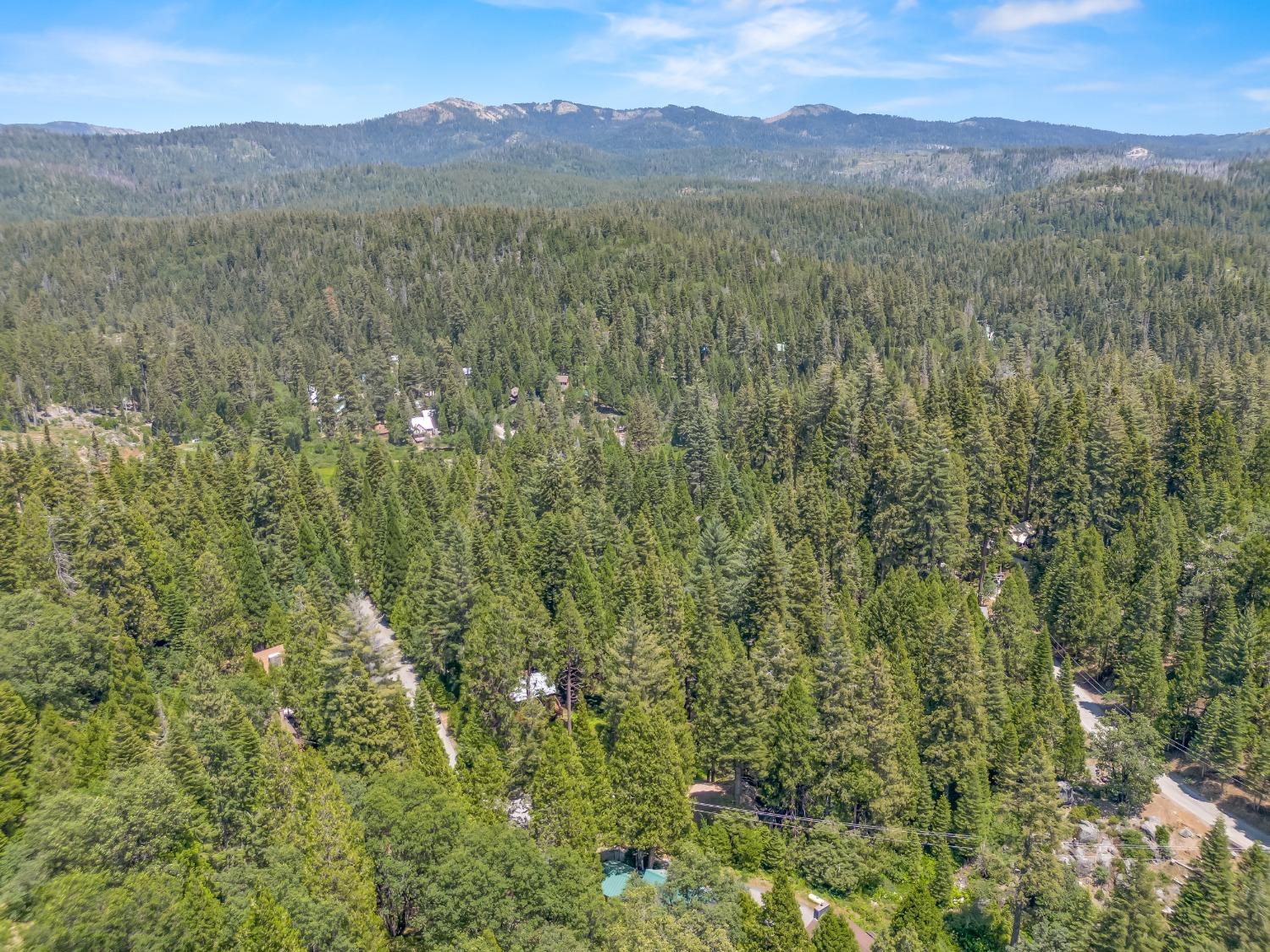 1153 Silver Tip Ln, Fish Camp, CA 93623