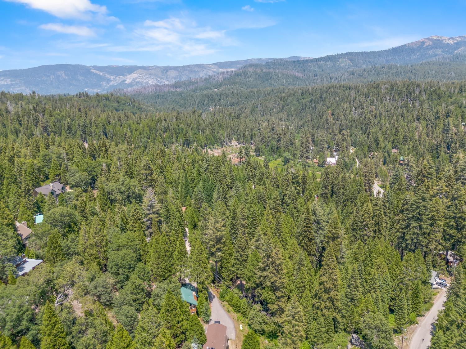1153 Silver Tip Ln, Fish Camp, CA 93623
