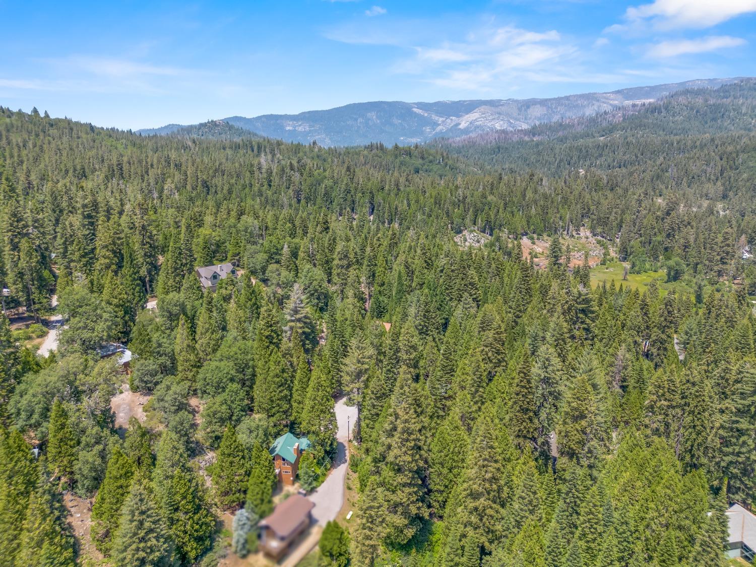 1153 Silver Tip Ln, Fish Camp, CA 93623