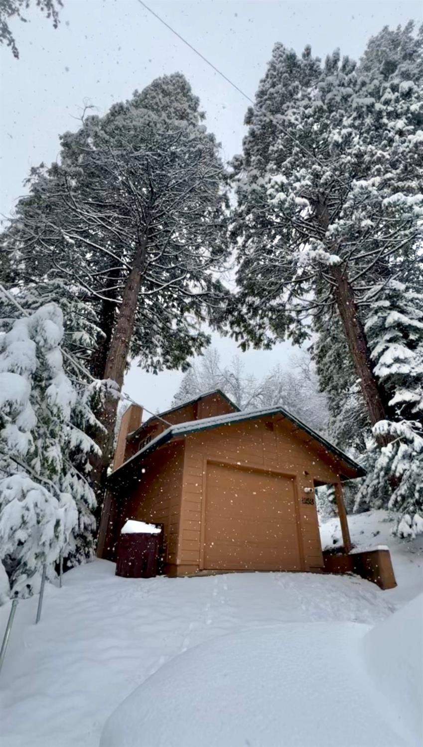1153 Silver Tip Ln, Fish Camp, CA 93623