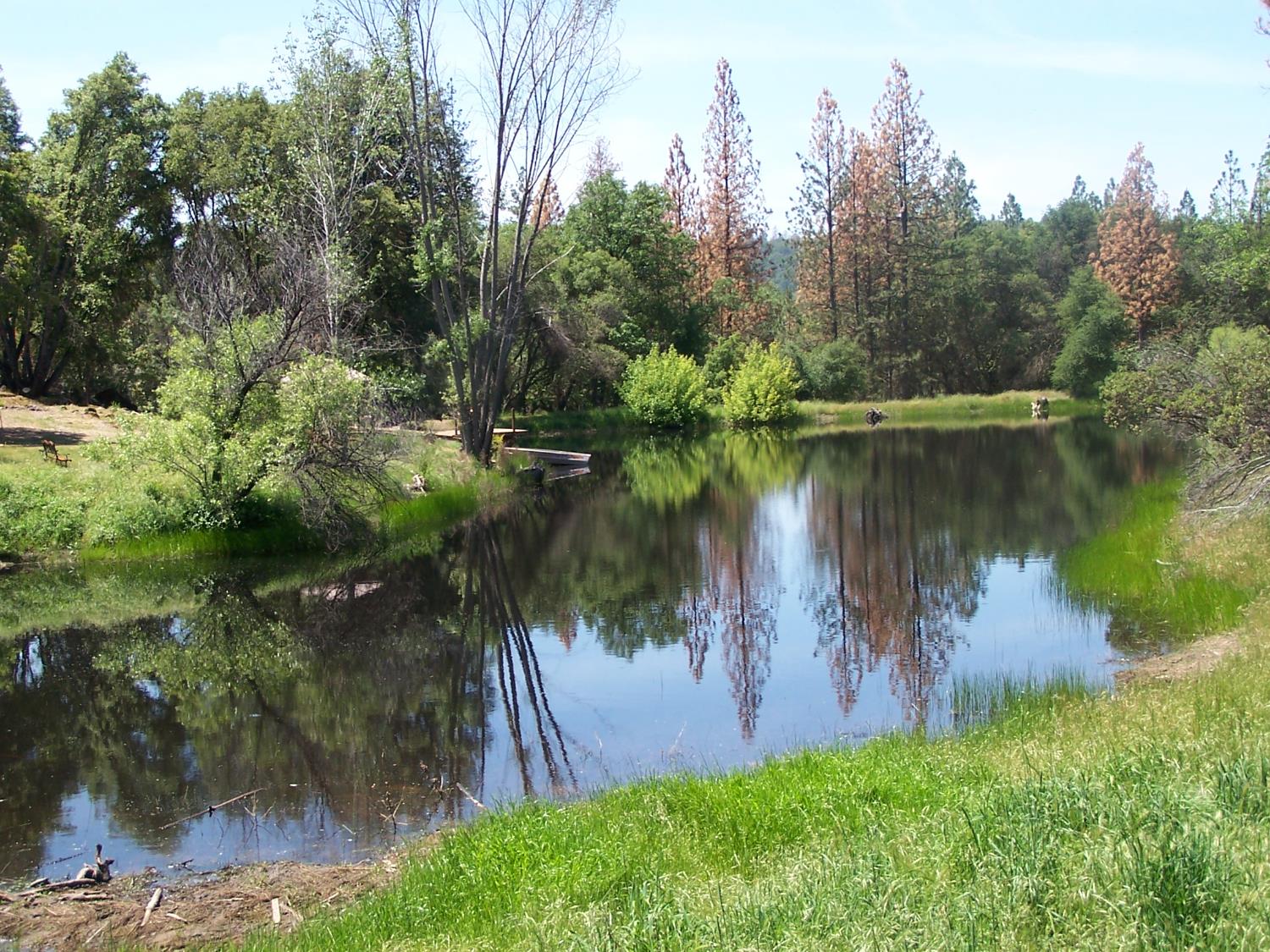 10 Rusty Ln, Oakhurst, CA 93644