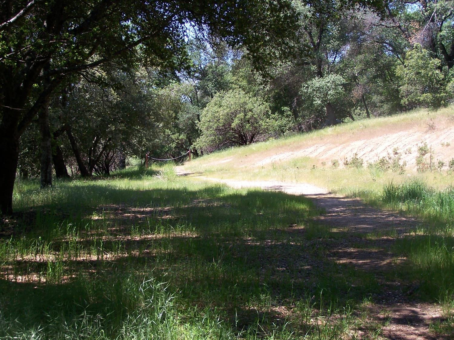 10 Rusty Ln, Oakhurst, CA 93644