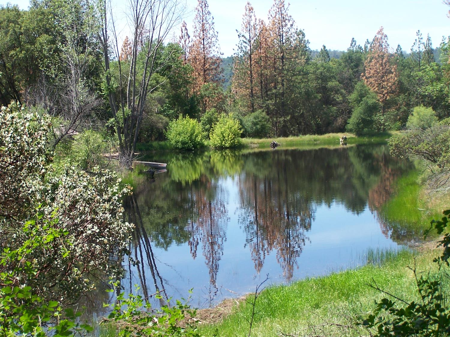 10 Rusty Ln, Oakhurst, CA 93644