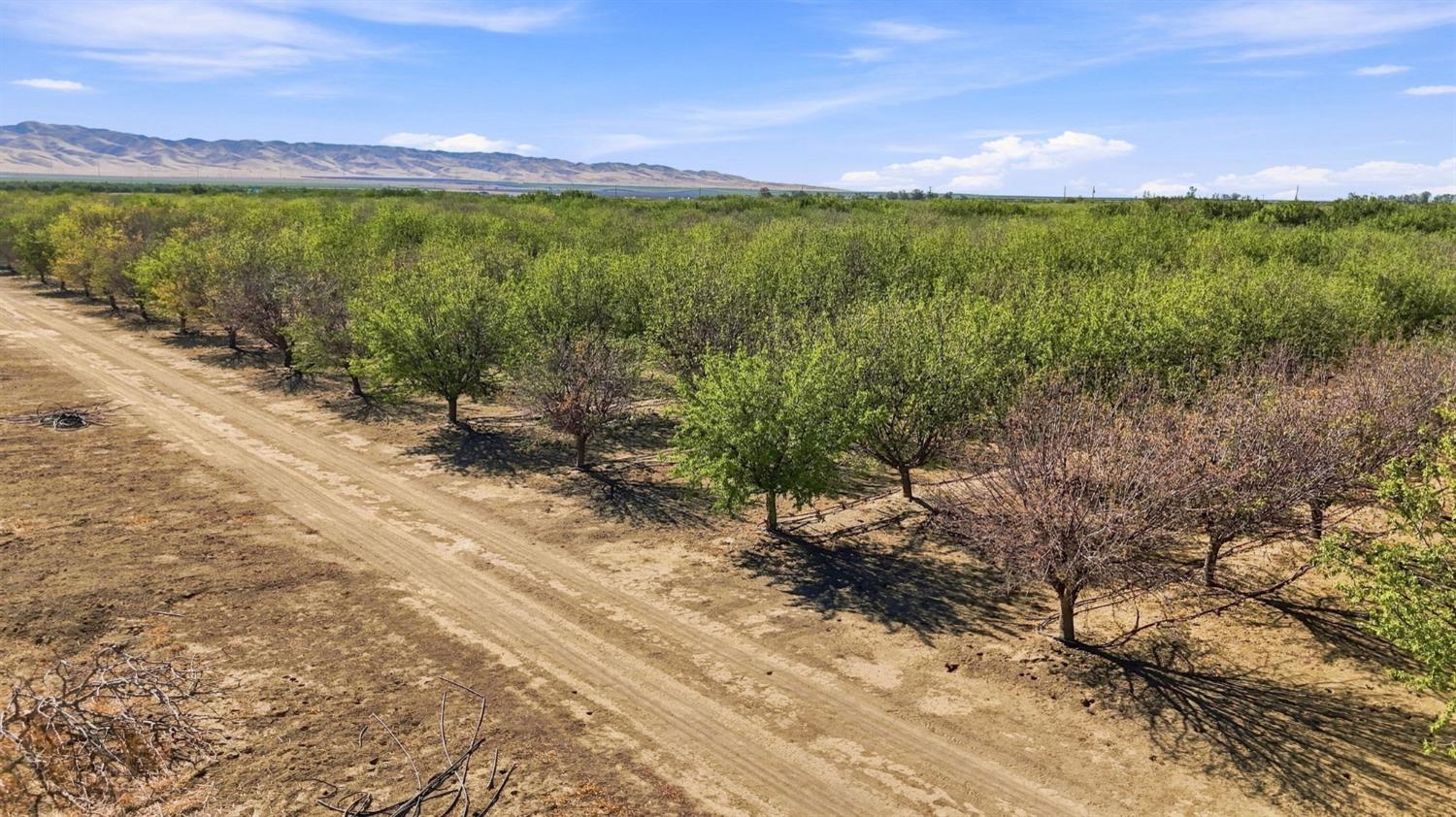 45551 W Panoche Rd, Firebaugh, CA 93622