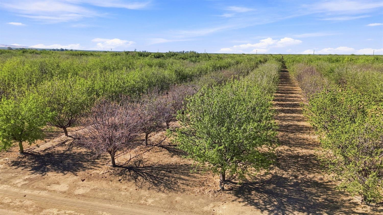 45551 W Panoche Rd, Firebaugh, CA 93622