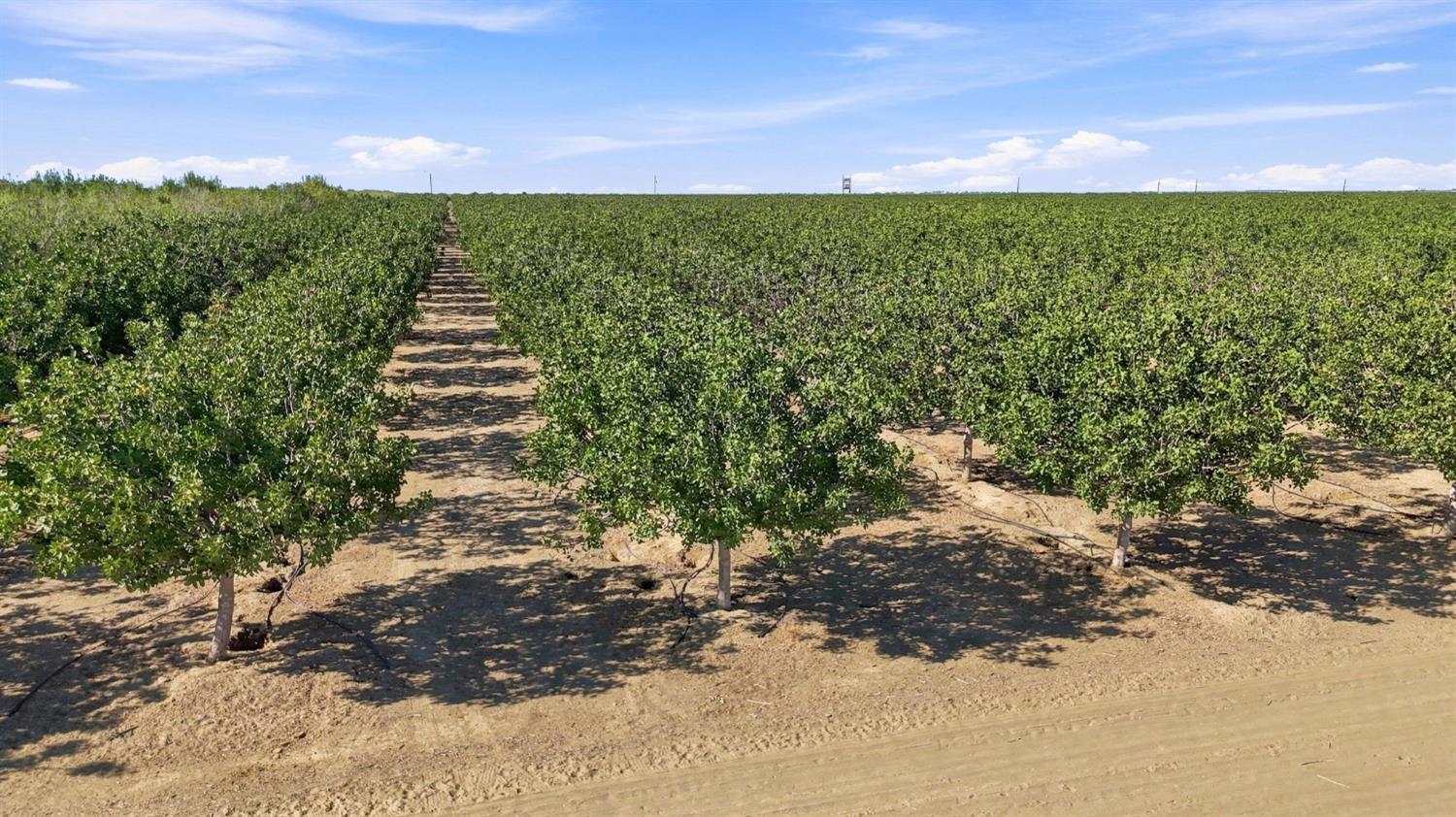 45551 W Panoche Rd, Firebaugh, CA 93622