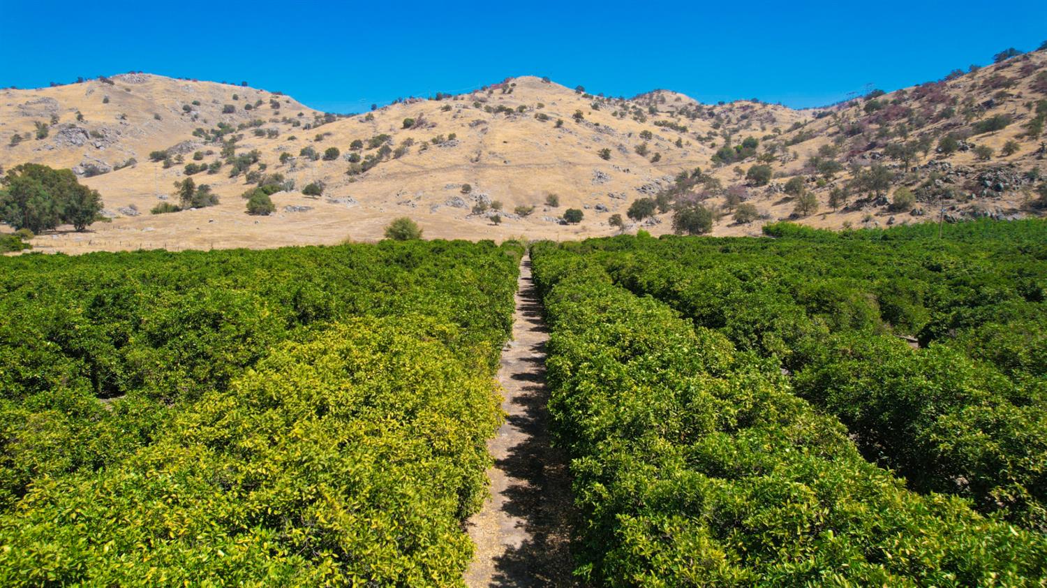 33204 Road 248, Lemon Cove, CA 93244