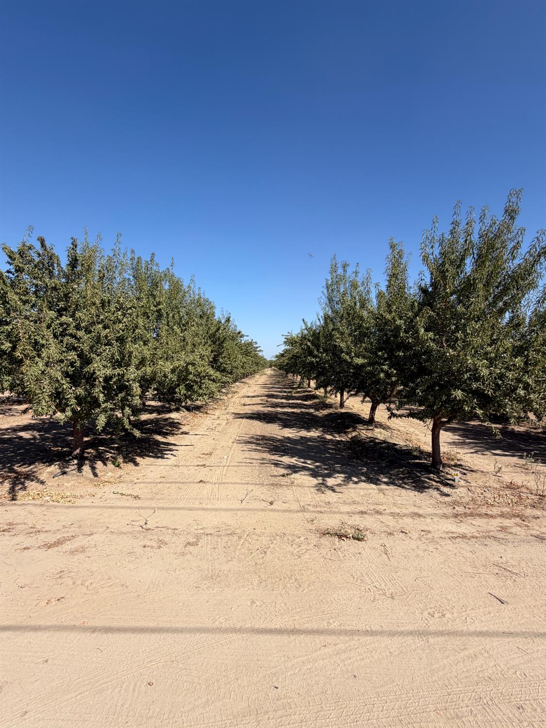 9134 S Leonard, Selma, CA 93662