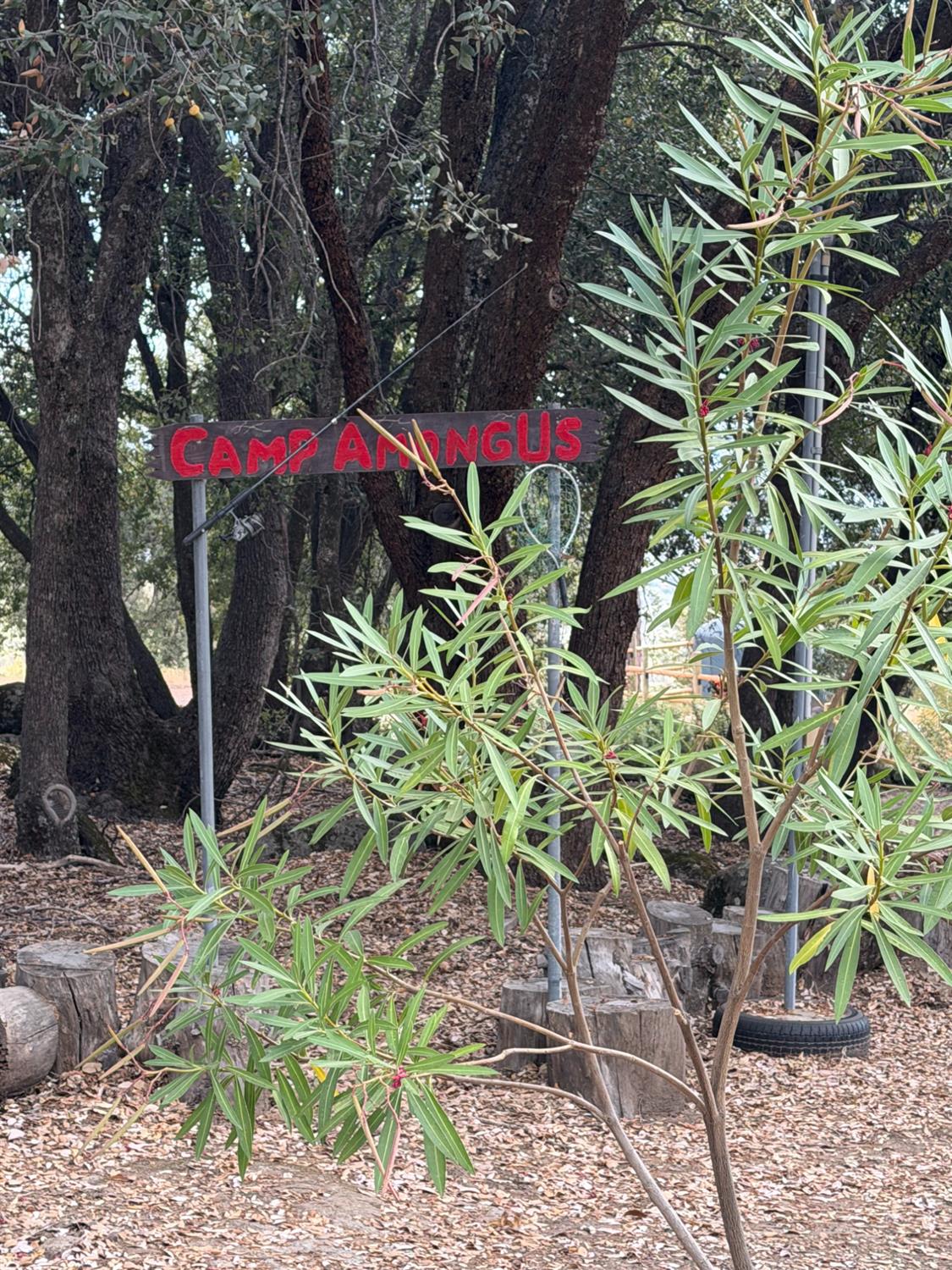 5811 Illilouette Fls, Mariposa, CA 95338